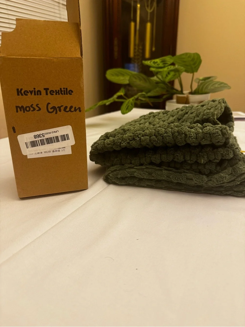 Plush Textured Green Throw Pillow - Set of 2